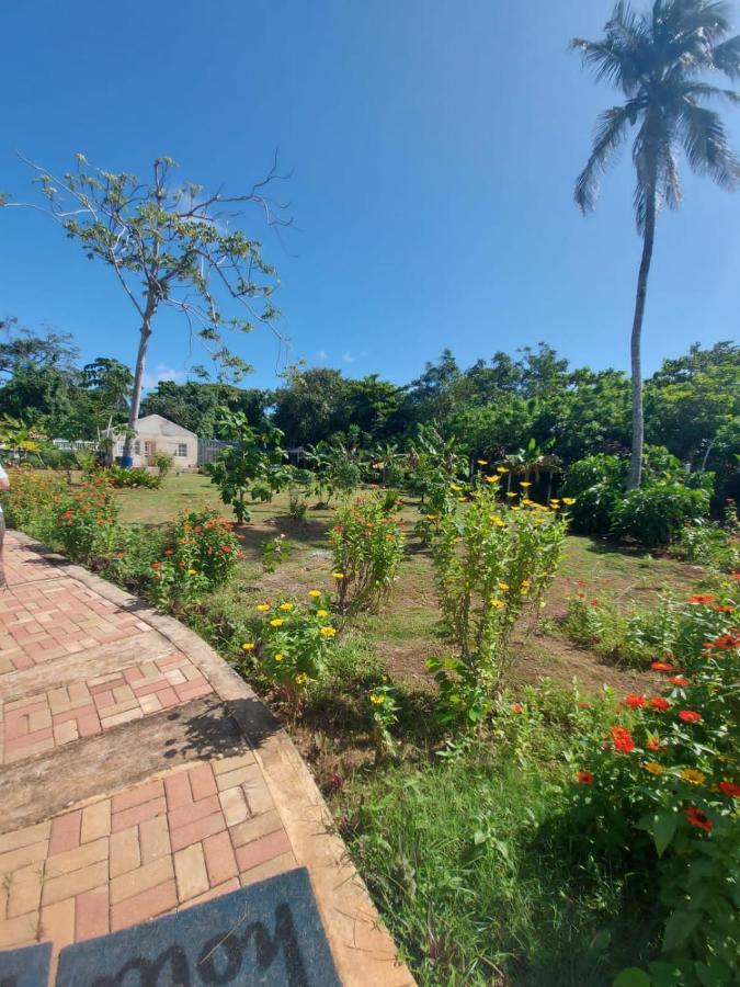 فيلا Blue Lizard House San Andrés المظهر الخارجي الصورة