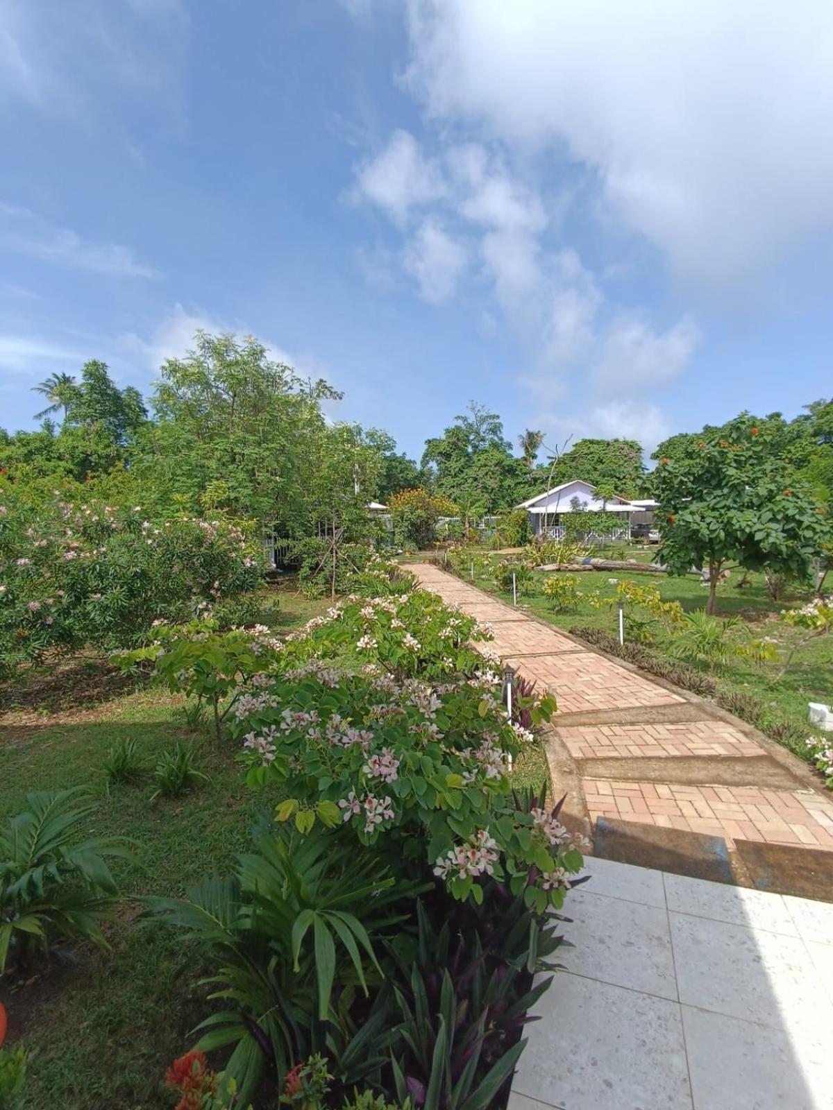 فيلا Blue Lizard House San Andrés المظهر الخارجي الصورة