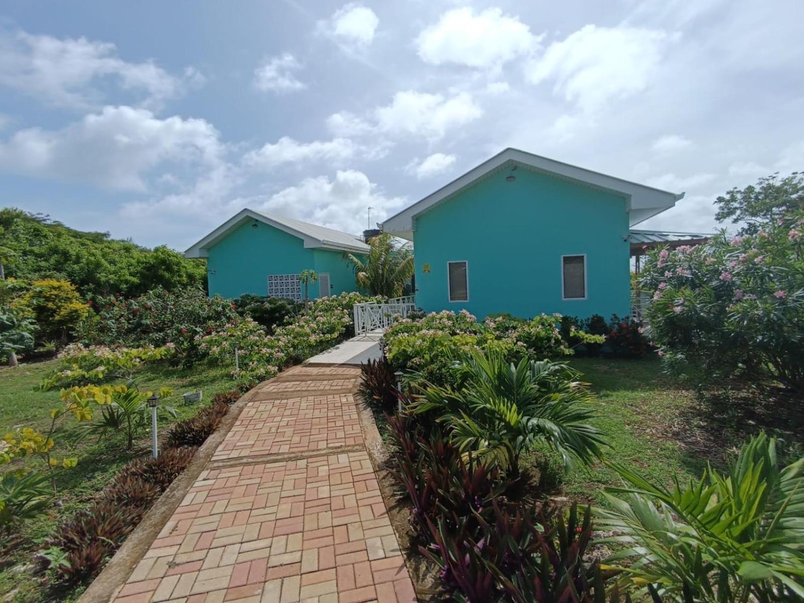 فيلا Blue Lizard House San Andrés المظهر الخارجي الصورة