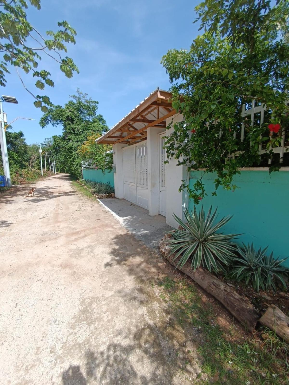 فيلا Blue Lizard House San Andrés المظهر الخارجي الصورة