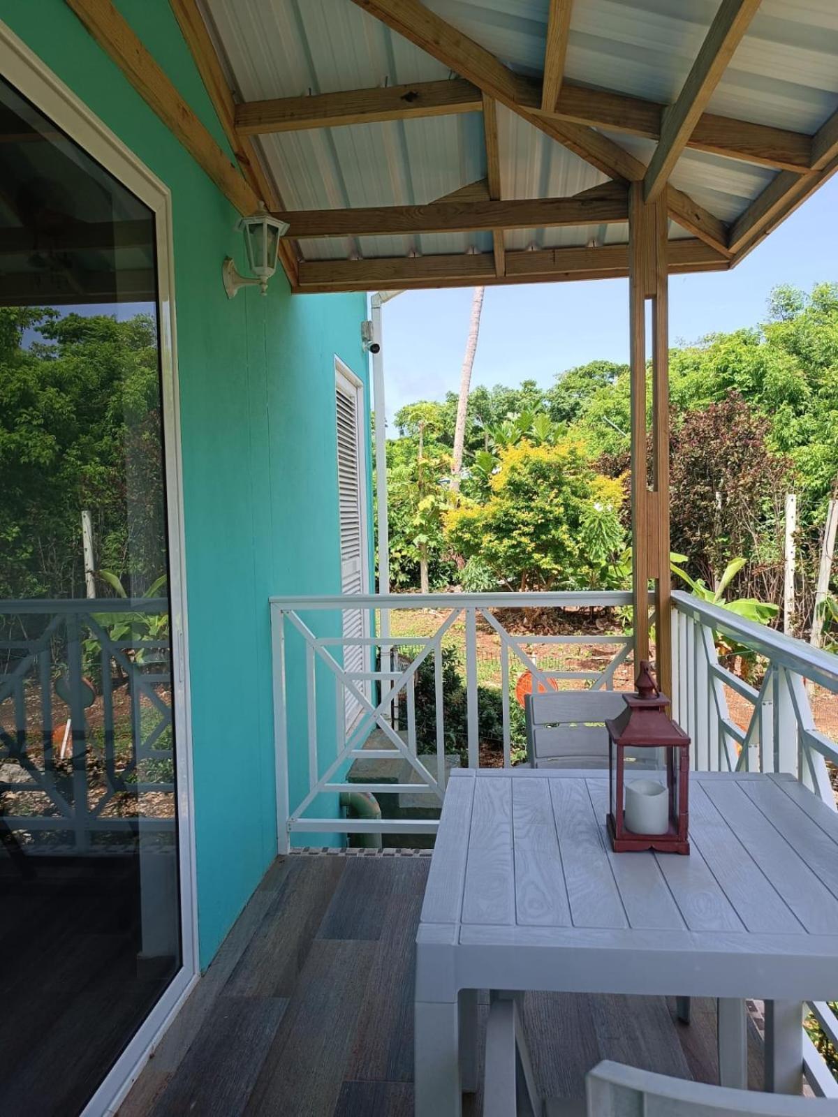 فيلا Blue Lizard House San Andrés المظهر الخارجي الصورة
