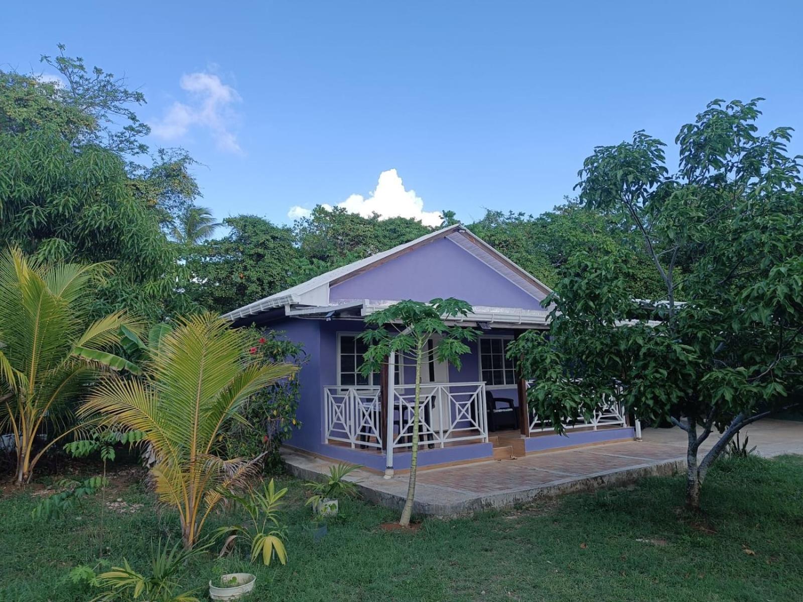 فيلا Blue Lizard House San Andrés المظهر الخارجي الصورة